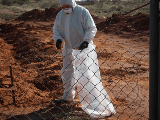 Asbestos Removal